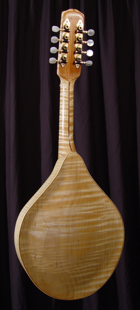 rear view of michael mccarten's AF style mandolin model
