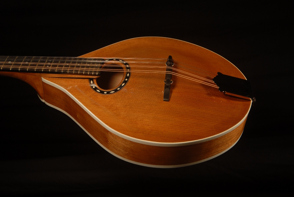 front view of the body of michael mccarten's AO style mandolin model