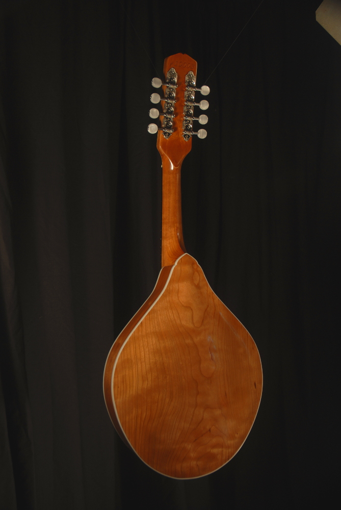 rear view of michael mccarten's AO style mandolin model