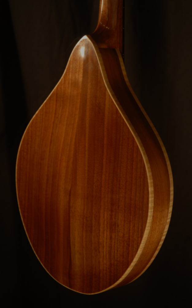 rear view of the body of michael mccarten's AO sharp style mandolin model