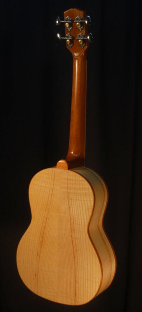 rear view of michael mccarten's Tenor flat top ukulele model