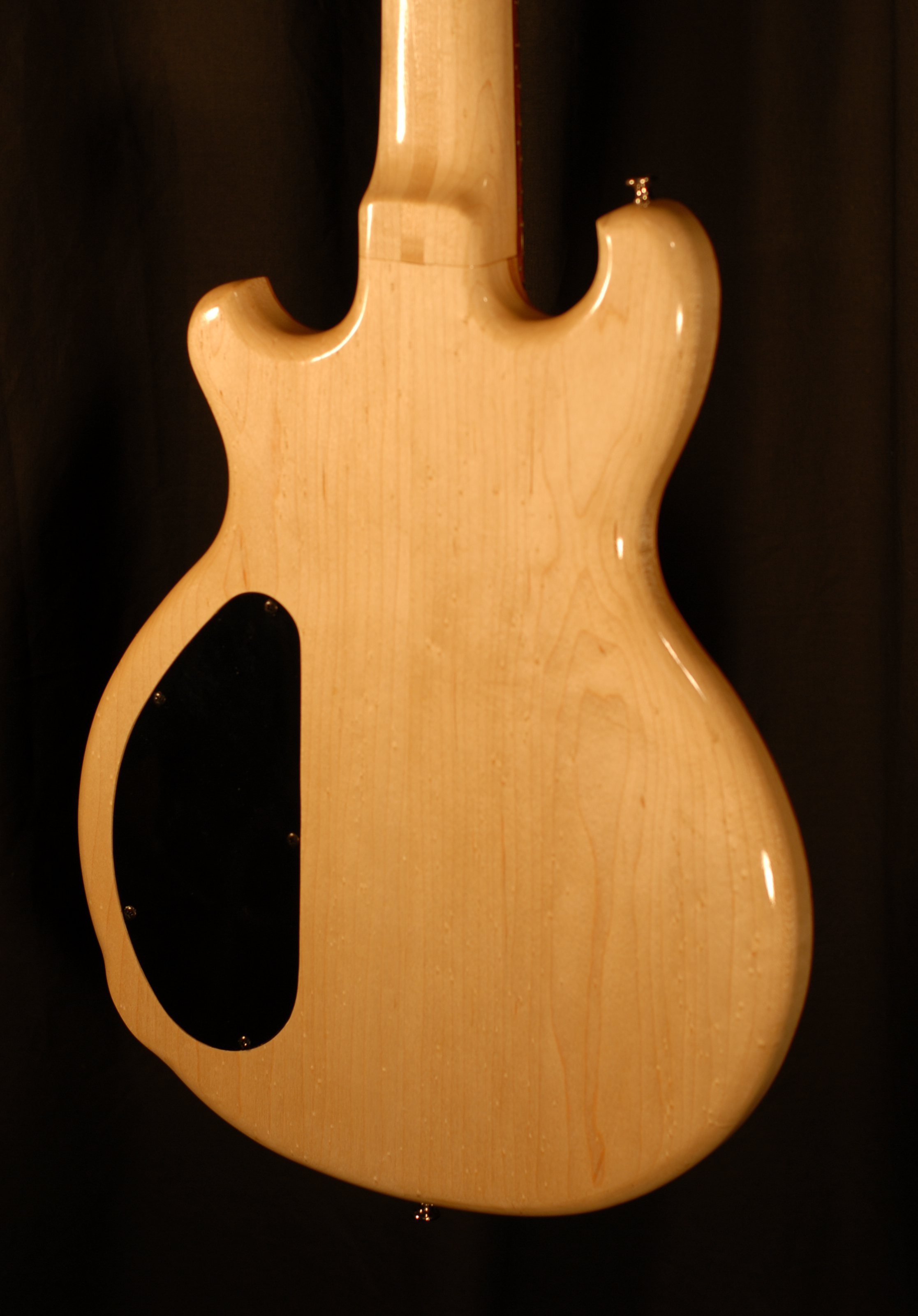 rear body view of michael mccarten's double cutaway Electric 12 string guitar model