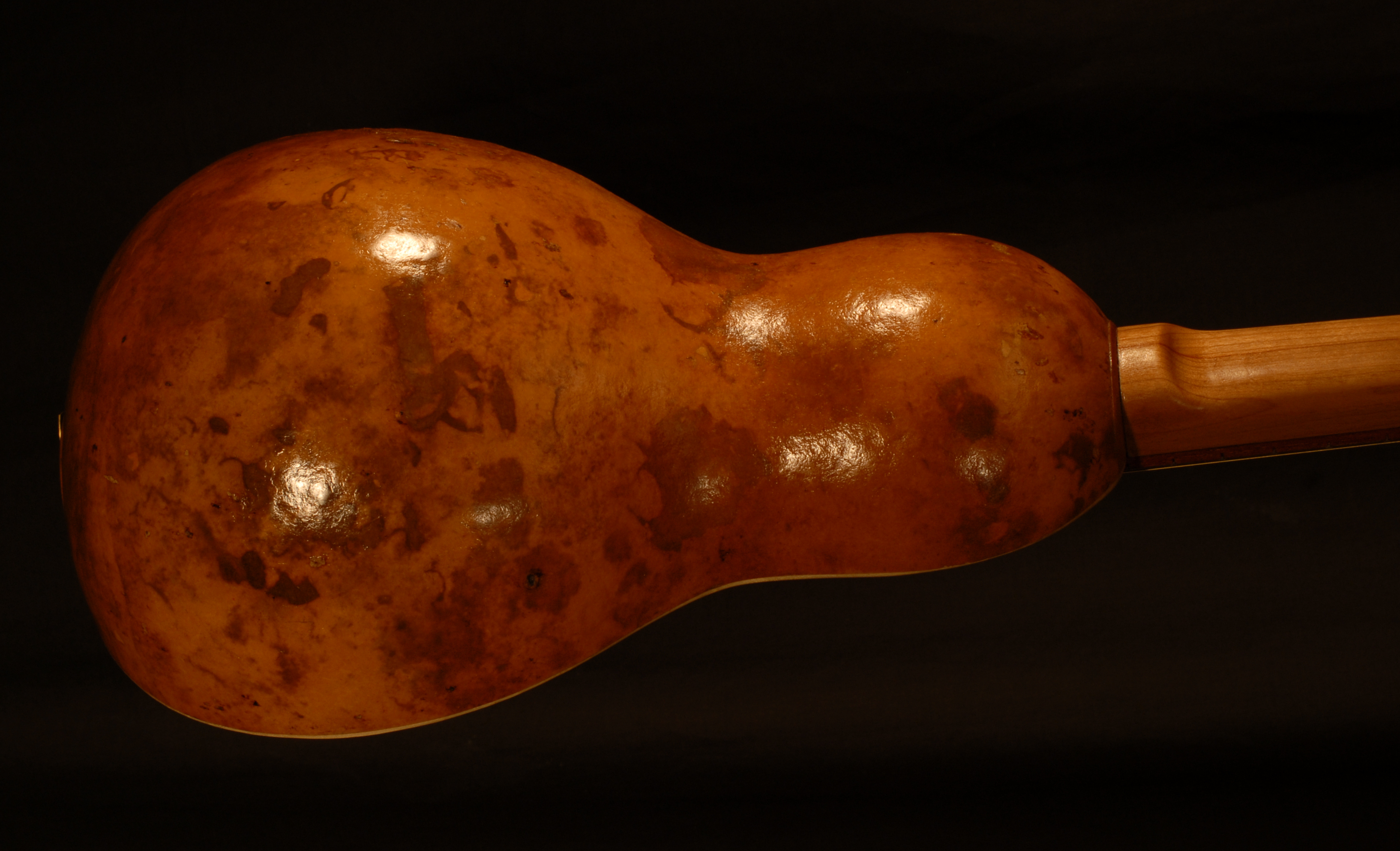 angled body detail view of michael mccarten's gourd body tenor guitar