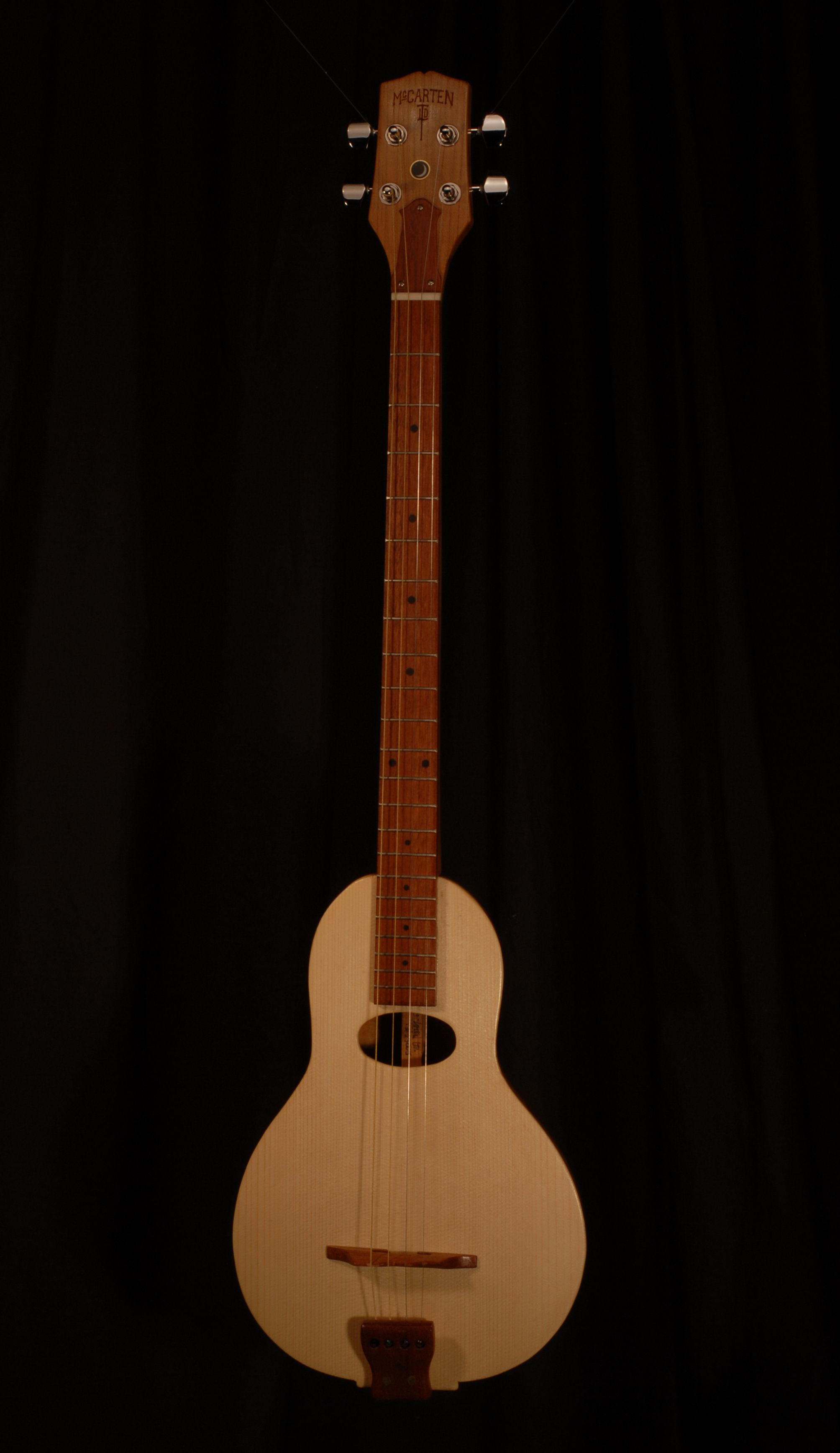 front view of michael mccarten's gourd body tenor guitar